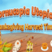 Giving Thanks for Pocket7Games’ & Bingo Clash’s Thanksgiving Event