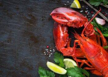 Healthy and fresh lobster claws for the lobster lover