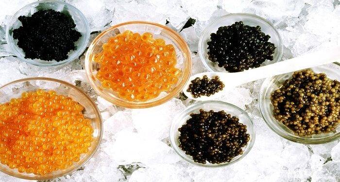 Partake in the more delectable beluga caviar for deal from Global Seafood