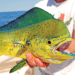 How to Catch Mahi Mahi Fish