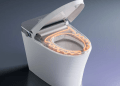 Enhance Your Bathroom Experience with the Horow Toilet with Bidet